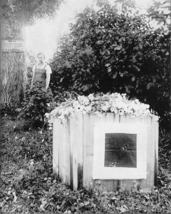 Могила Малевича теперь под бетоном Могила Малевича теперь под бетоном