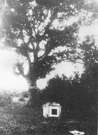 Могила Малевича теперь под бетоном Могила Малевича теперь под бетоном