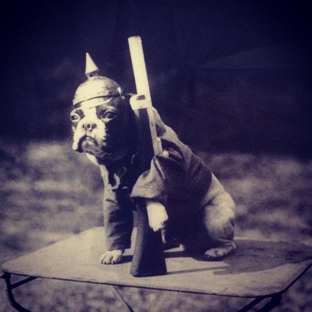 Первая мировая война на выставке в Самарском художественном музее Первая мировая война на выставке в Самарском художественном музее